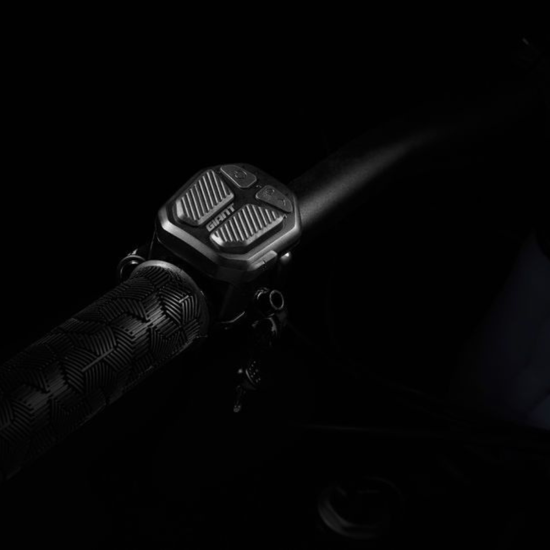 UNIDAD DE CONTROL RIDECONTROL ERGO SG DE GIANT Florida Bike Shop