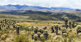TOUR SIFÓN
