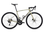 GIANT DEFY ADVANCED 2 (2024)